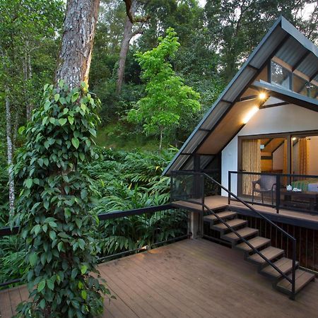 Bamboo Dale Resort, Munnar Zewnętrze zdjęcie