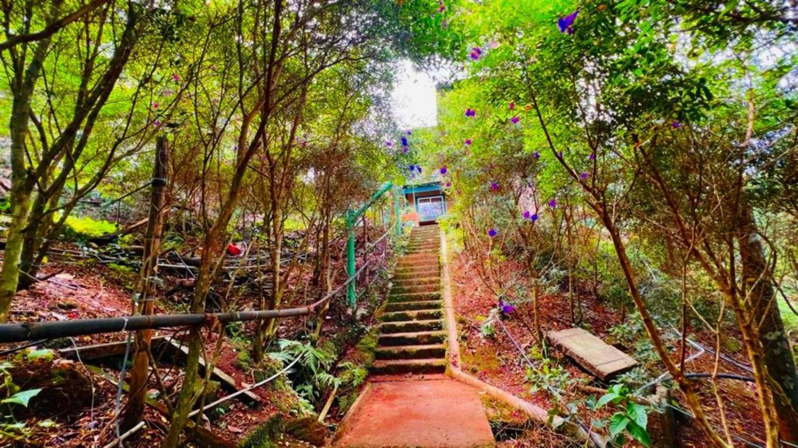 Bamboo Dale Resort, Munnar Zewnętrze zdjęcie