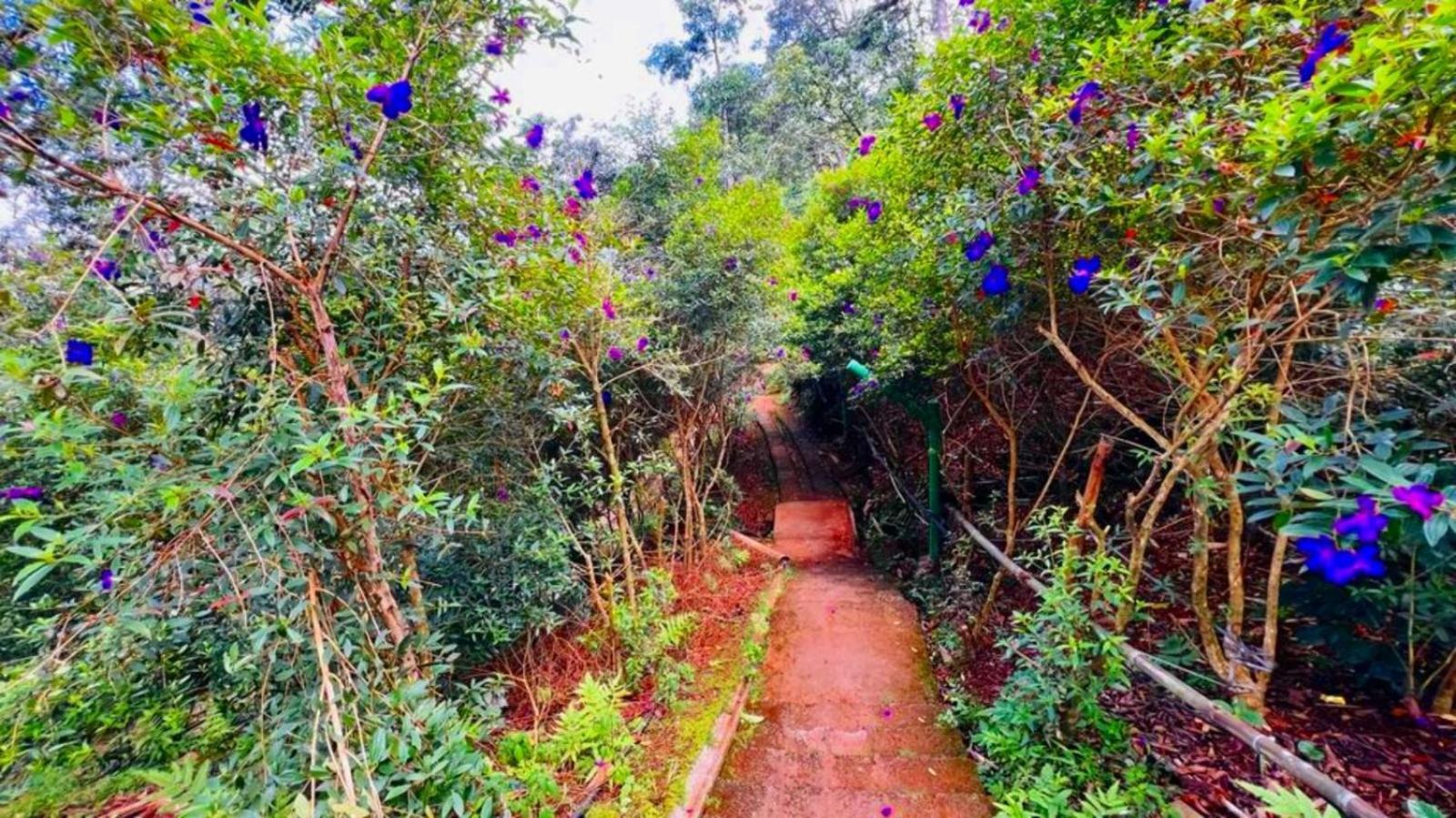 Bamboo Dale Resort, Munnar Zewnętrze zdjęcie