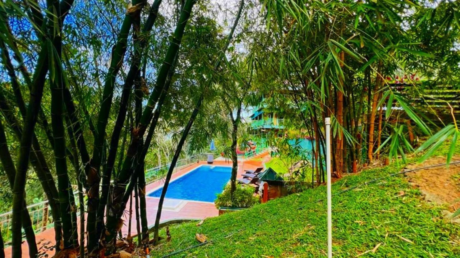 Bamboo Dale Resort, Munnar Zewnętrze zdjęcie