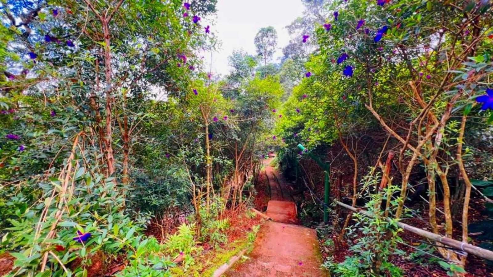Bamboo Dale Resort, Munnar Zewnętrze zdjęcie