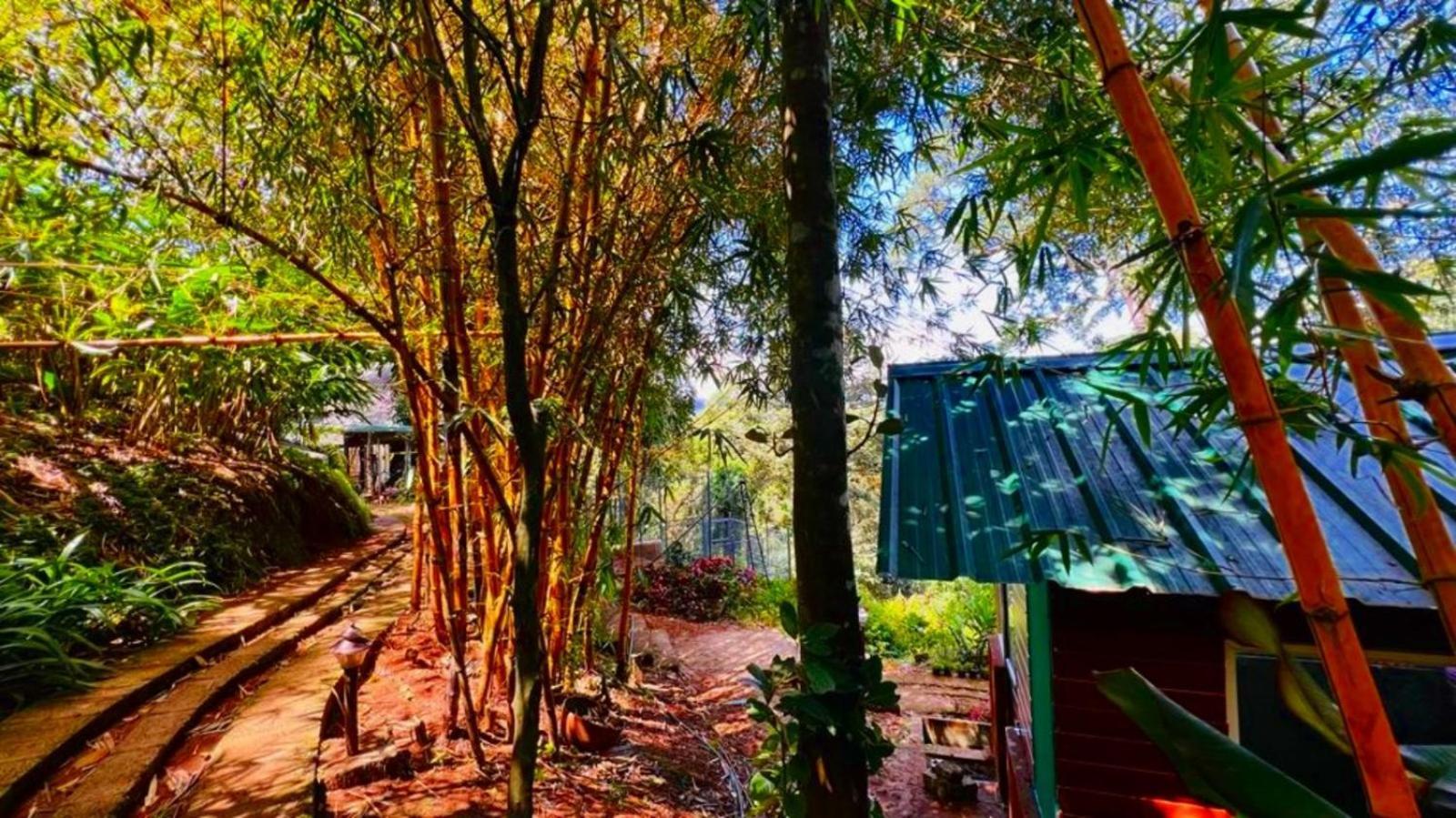 Bamboo Dale Resort, Munnar Zewnętrze zdjęcie