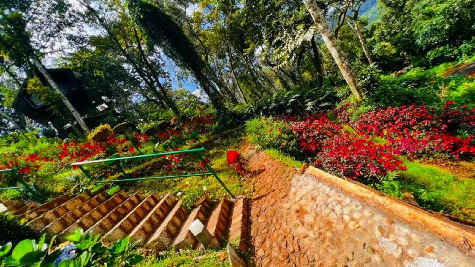 Bamboo Dale Resort, Munnar Zewnętrze zdjęcie