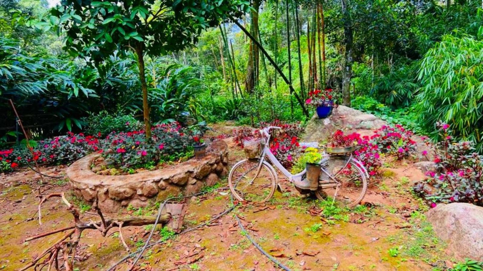 Bamboo Dale Resort, Munnar Zewnętrze zdjęcie