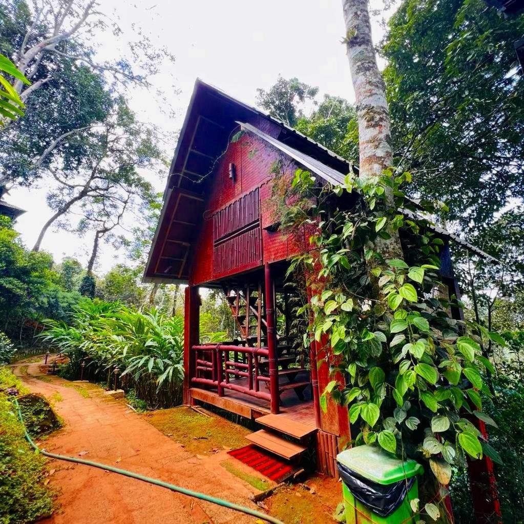 Bamboo Dale Resort, Munnar Zewnętrze zdjęcie