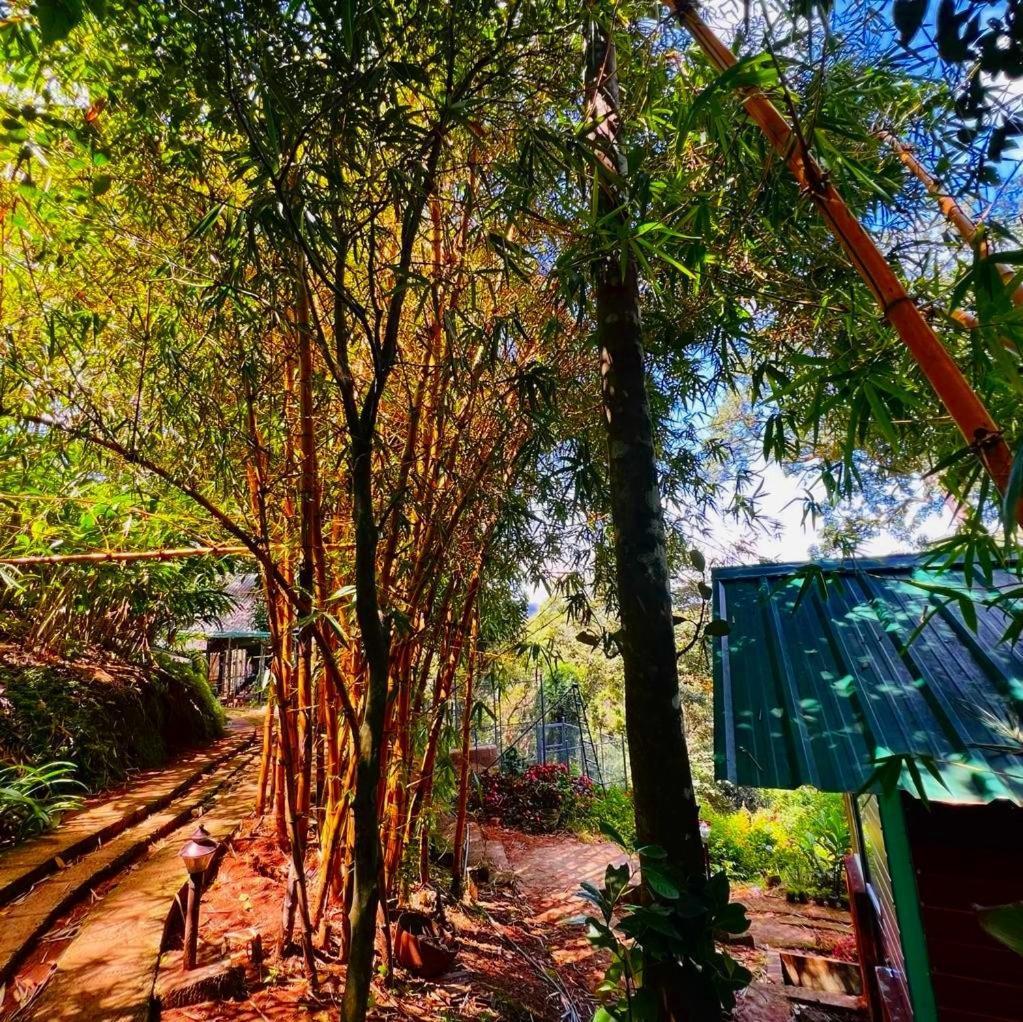 Bamboo Dale Resort, Munnar Zewnętrze zdjęcie