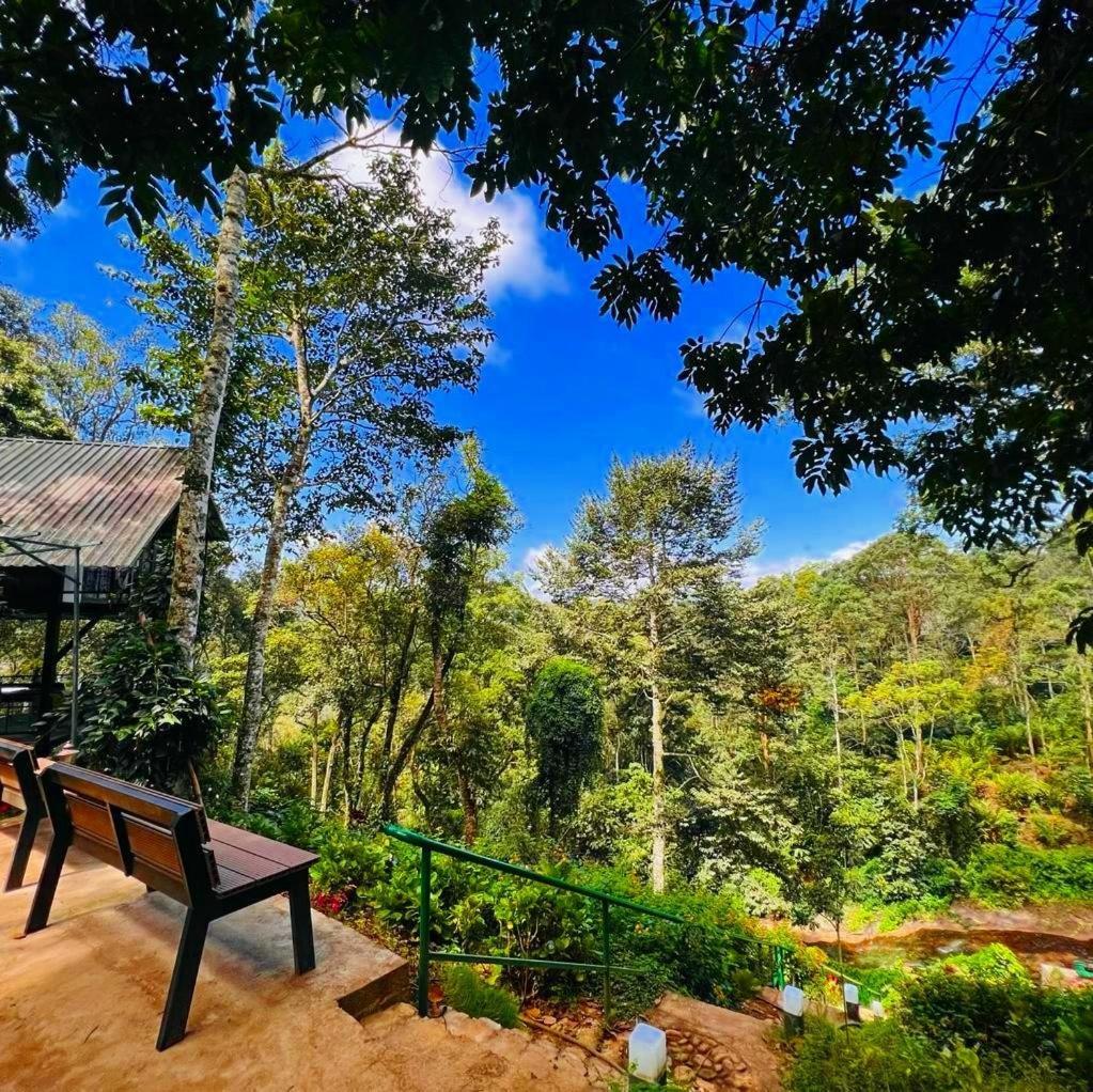 Bamboo Dale Resort, Munnar Zewnętrze zdjęcie