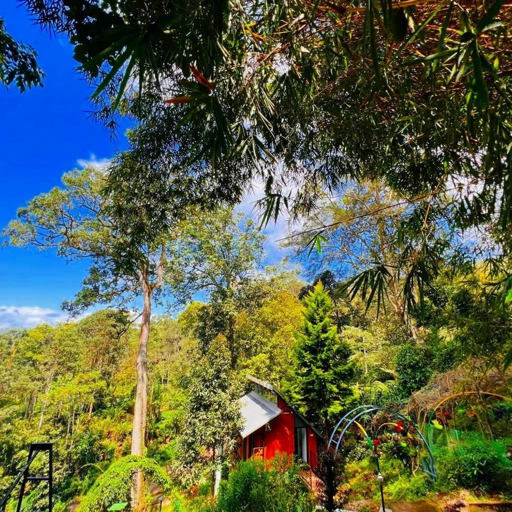 Bamboo Dale Resort, Munnar Zewnętrze zdjęcie