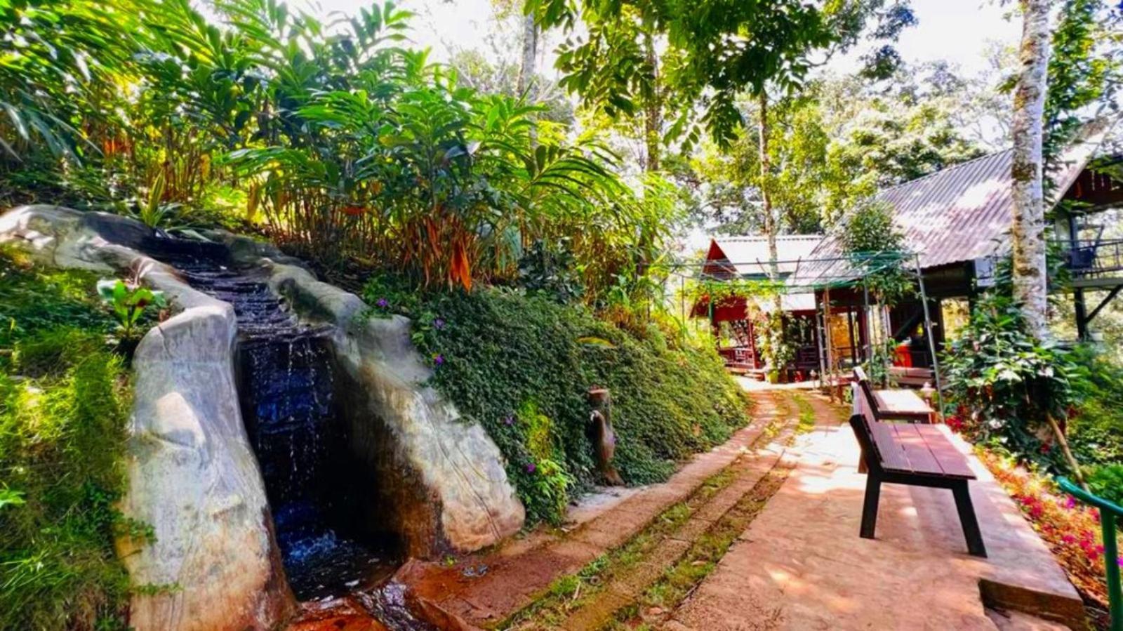 Bamboo Dale Resort, Munnar Zewnętrze zdjęcie