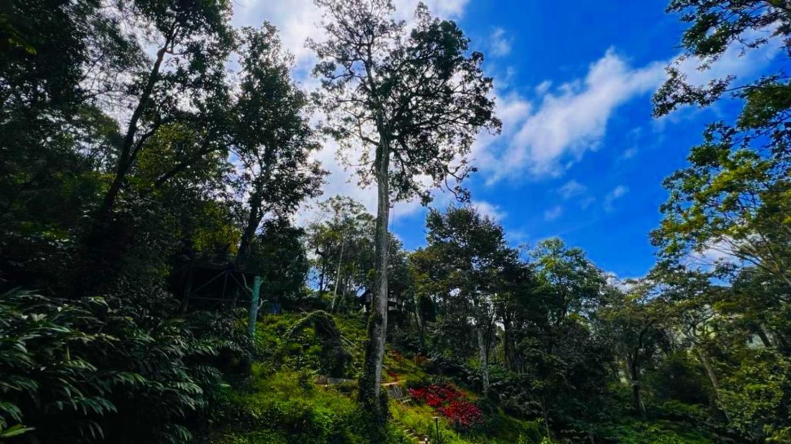 Bamboo Dale Resort, Munnar Zewnętrze zdjęcie