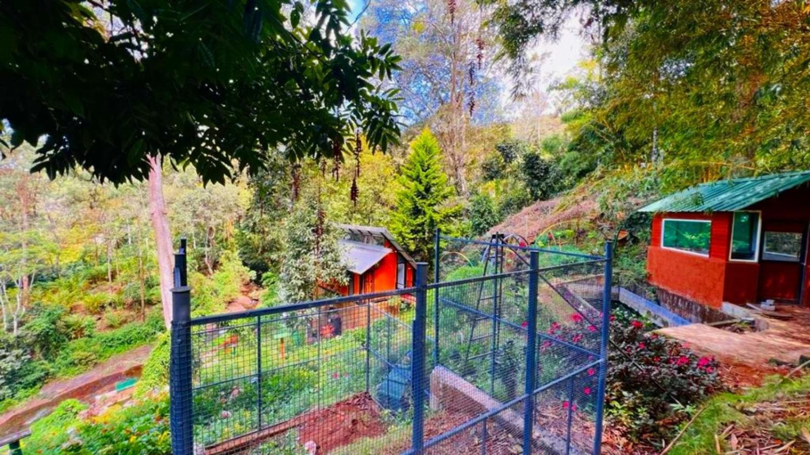 Bamboo Dale Resort, Munnar Zewnętrze zdjęcie
