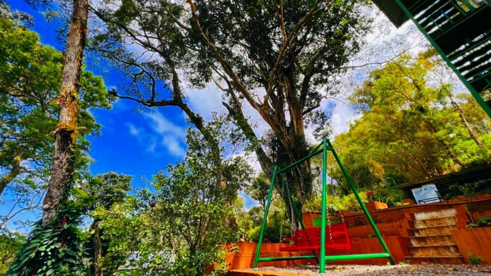 Bamboo Dale Resort, Munnar Zewnętrze zdjęcie