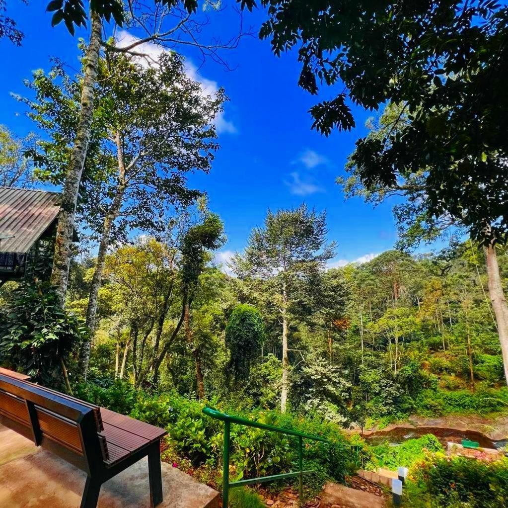 Bamboo Dale Resort, Munnar Zewnętrze zdjęcie