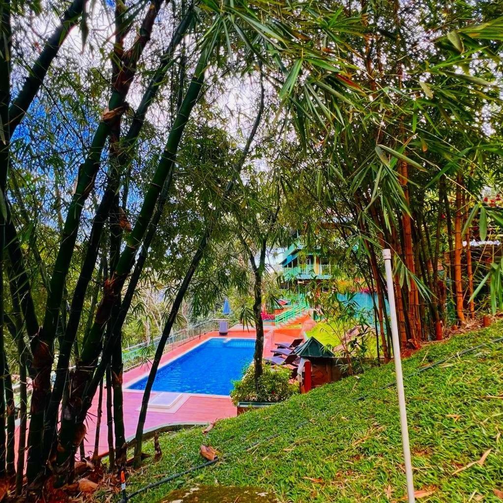 Bamboo Dale Resort, Munnar Zewnętrze zdjęcie