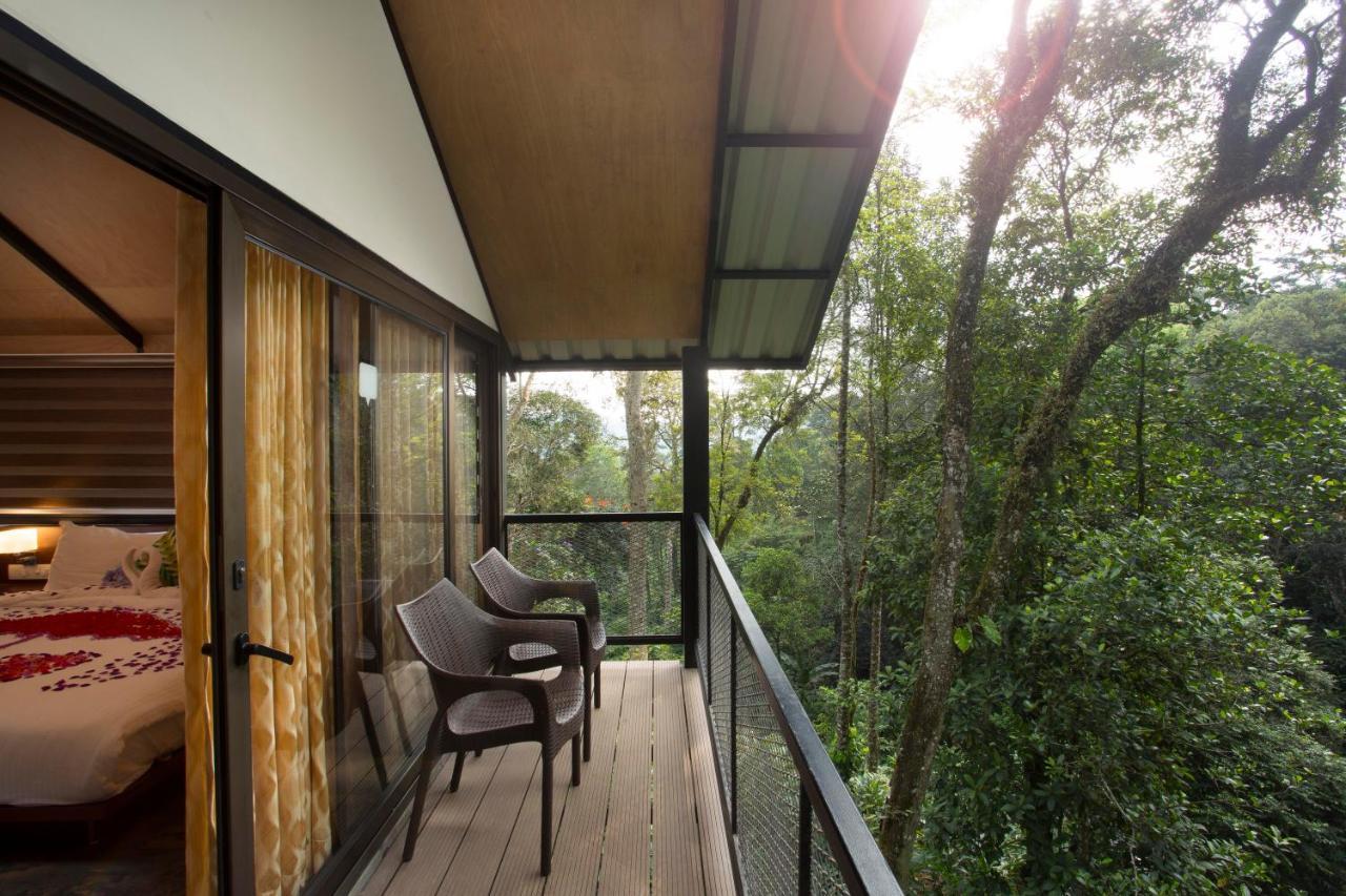 Bamboo Dale Resort, Munnar Zewnętrze zdjęcie